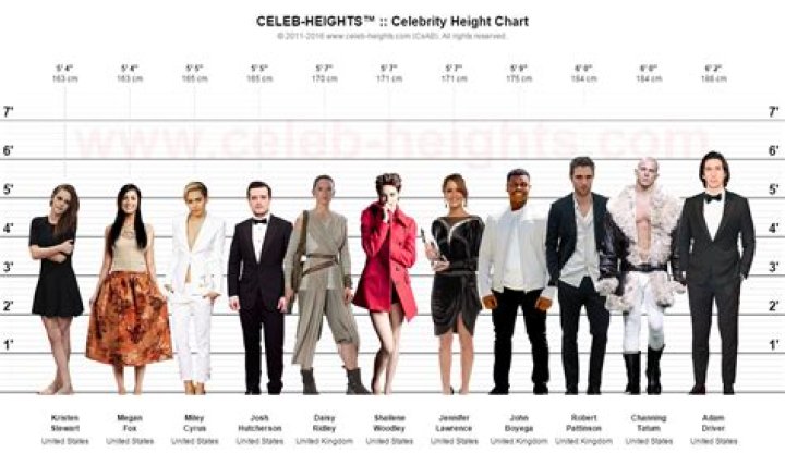 Celebrity Heights: Discovering the Tallest and Shortest Stars in Hollywood