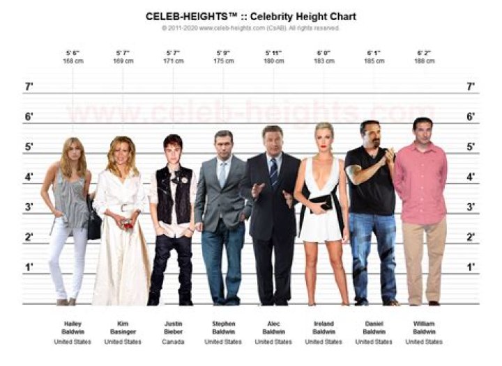 Celebrity Measurements: Understanding the Allure of 38-28-38