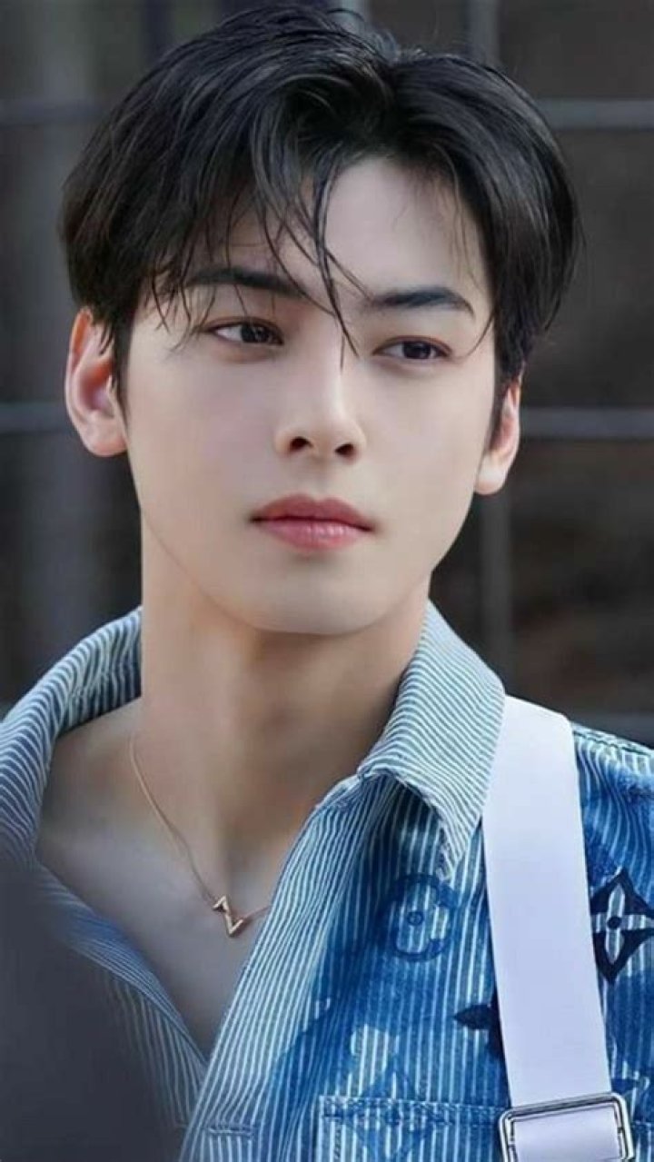 Cha Eun-Woo: The Rising Star in the Entertainment Industry