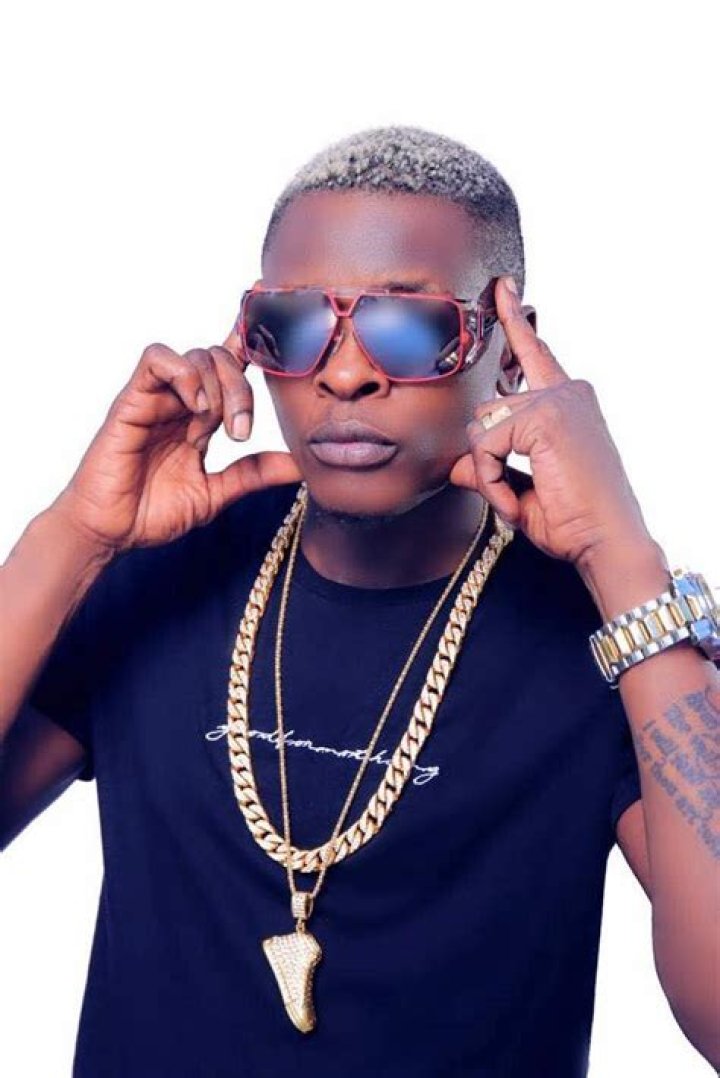 Exploring the World of Chameleone: A Journey Through Music and Culture