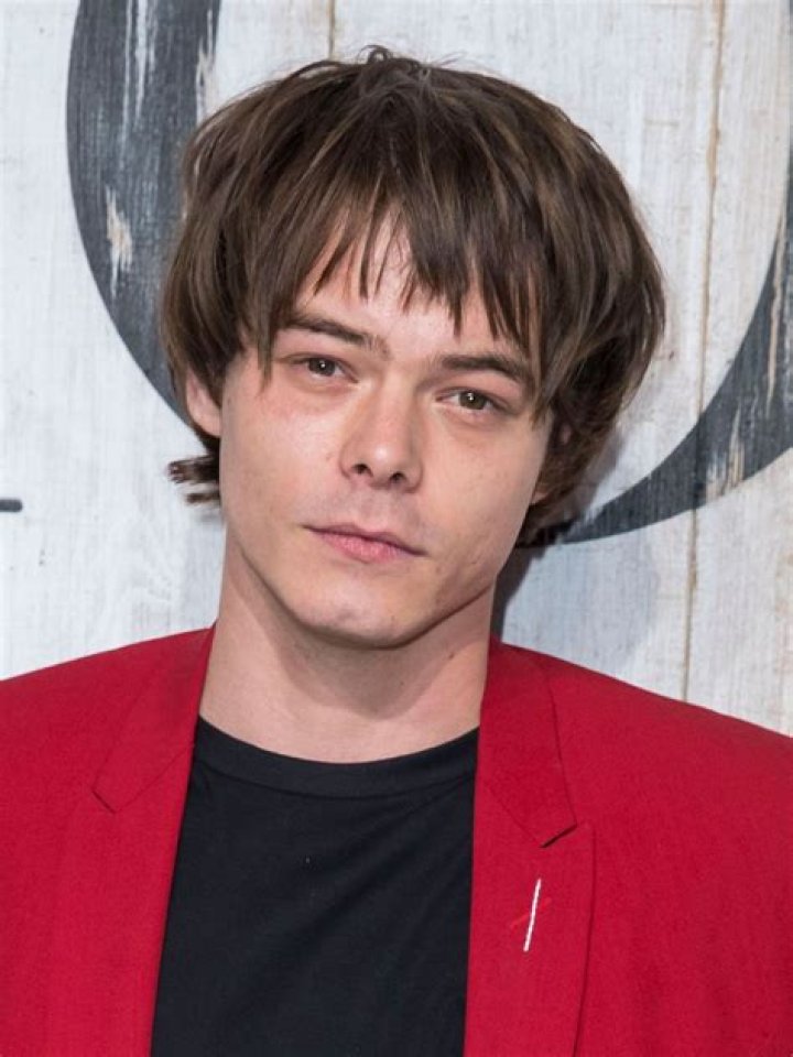 Unveiling the Enigmatic Talent: Charlie Heaton
