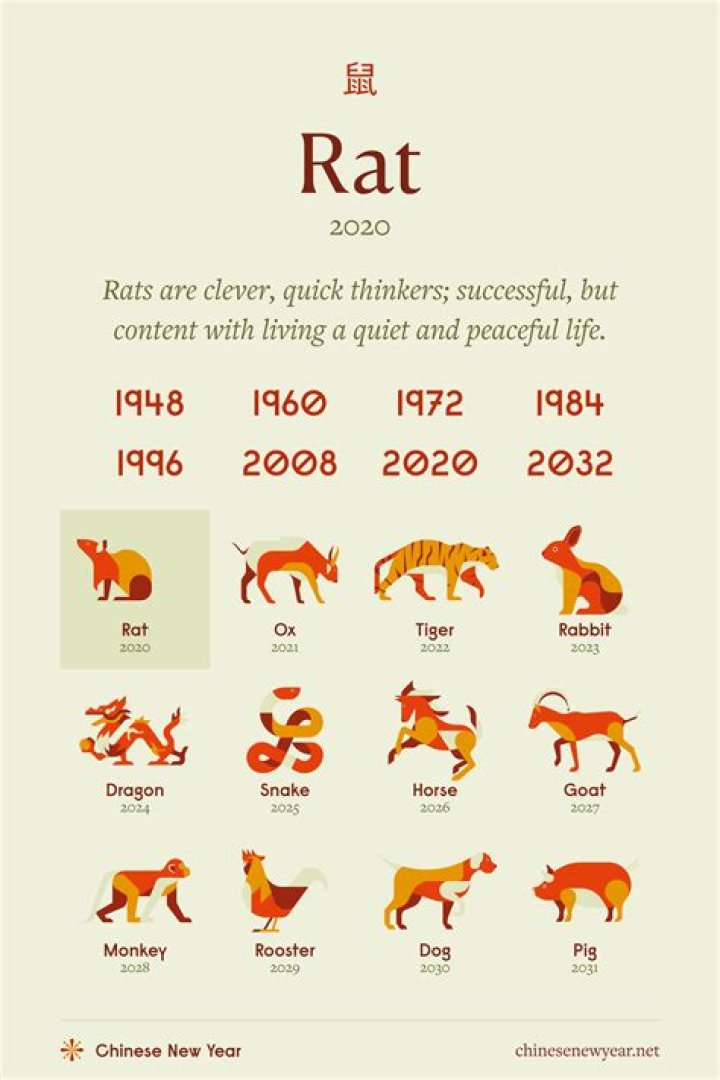 Chinese Horoscope 1984: A Deep Dive Into the Year of the Wood Rat
