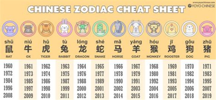 Exploring the Chinese Zodiac 2003: A Deep Dive into the Year of the Goat