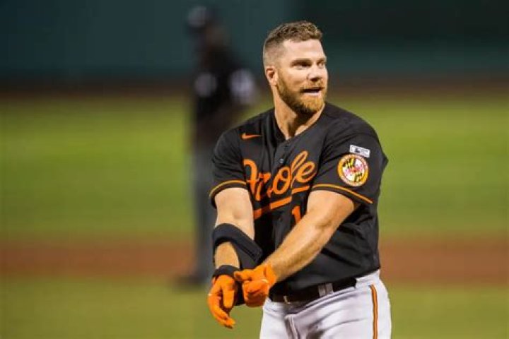 Chris Davis: Unveiling His Staggering Net Worth