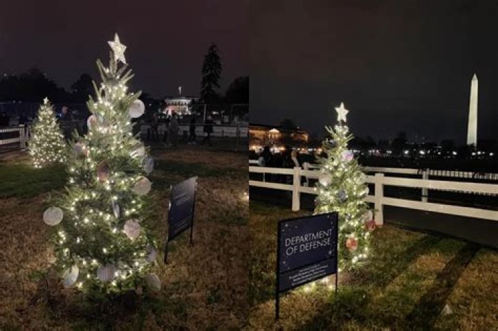 Discover the Best Christmas Tree Delivery Service in DC