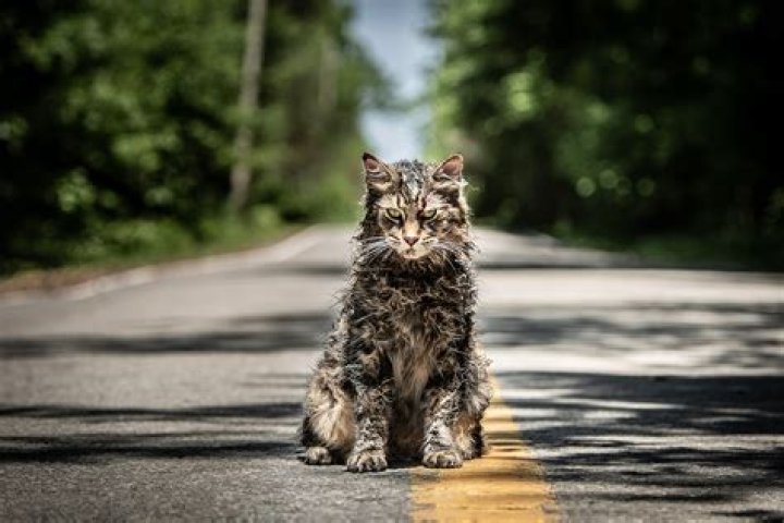Church Pet Sematary 2019: A Comprehensive Analysis of the Spine-Chilling Thriller