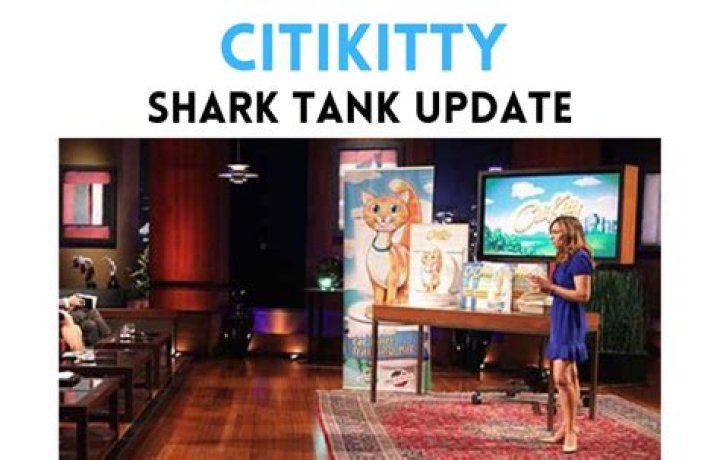 CitiKitty Shark Tank Update: What Happened After the Show?