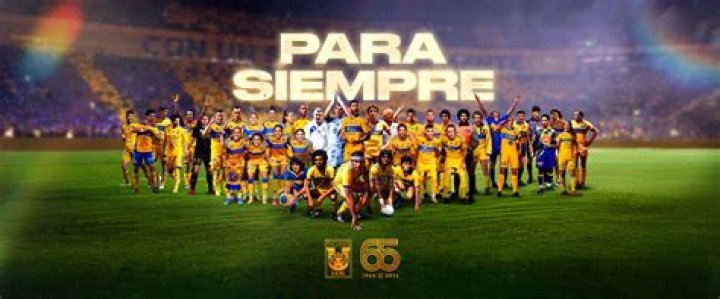 Club Tigres: A Comprehensive Guide to One of Mexico's Premier Football Clubs