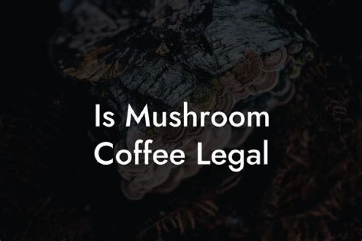 Understanding Coffee Legal: Everything You Need to Know