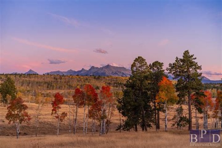 Colorado Web Design Company: Your Gateway to Professional Online Presence