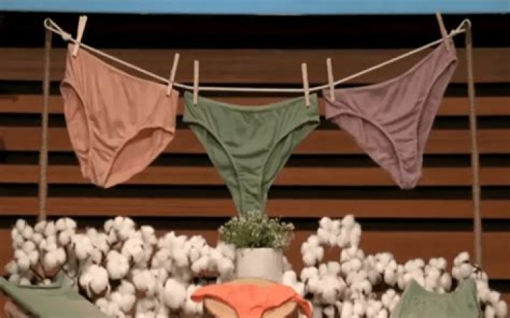 Compostable Underwear Shark Tank: A Sustainable Innovation Revolutionizing Fashion