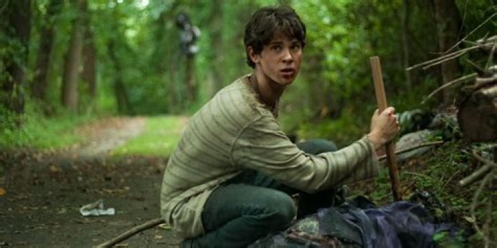 Exploring the Life and Career of Connor Paolo: A Rising Star in Hollywood