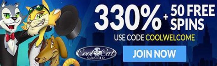 Discover the Exciting World of CoolCats Casino: Your Ultimate Guide