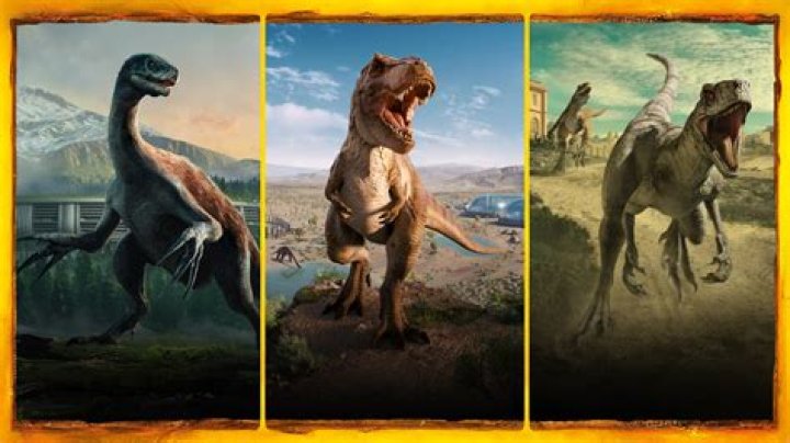 Everything You Need to Know About Coverplay Pack n Play