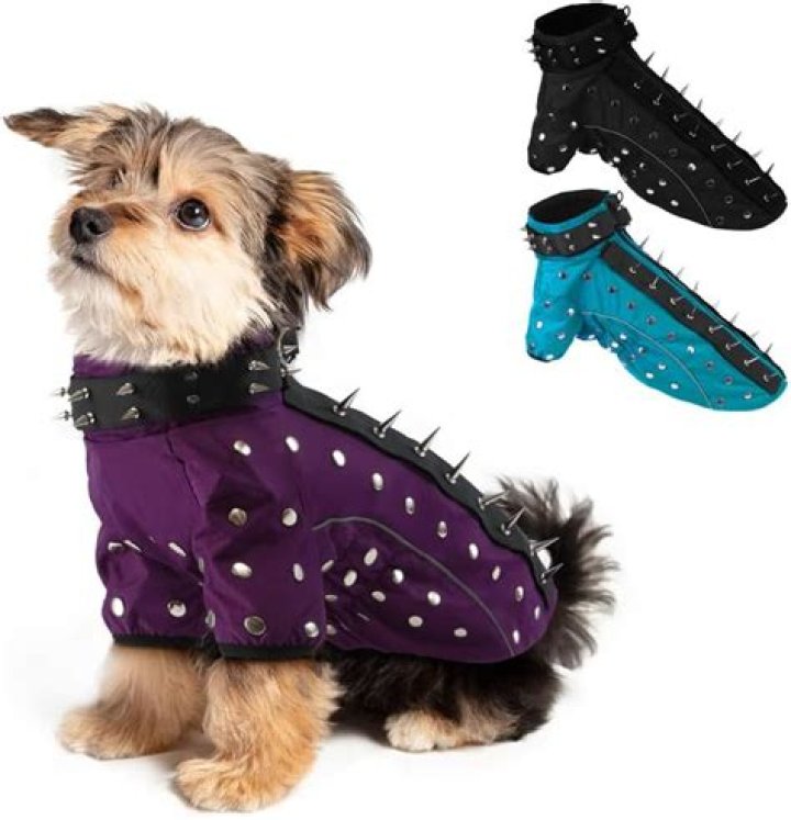 Coyote Vests for Dogs: A Comprehensive Guide to Protecting Your Furry Friend