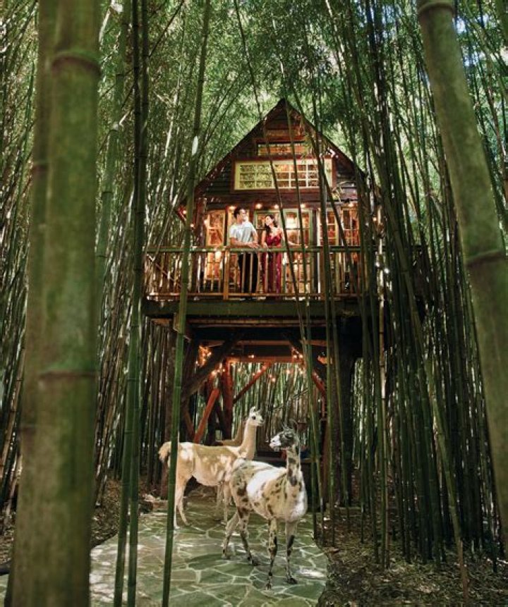 Crooked Tree Cafe: A Hidden Gem for Food Lovers