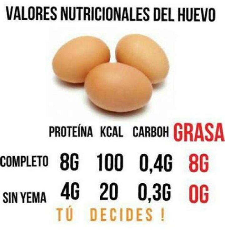 How Many Grams of Protein Does an Egg Contain?