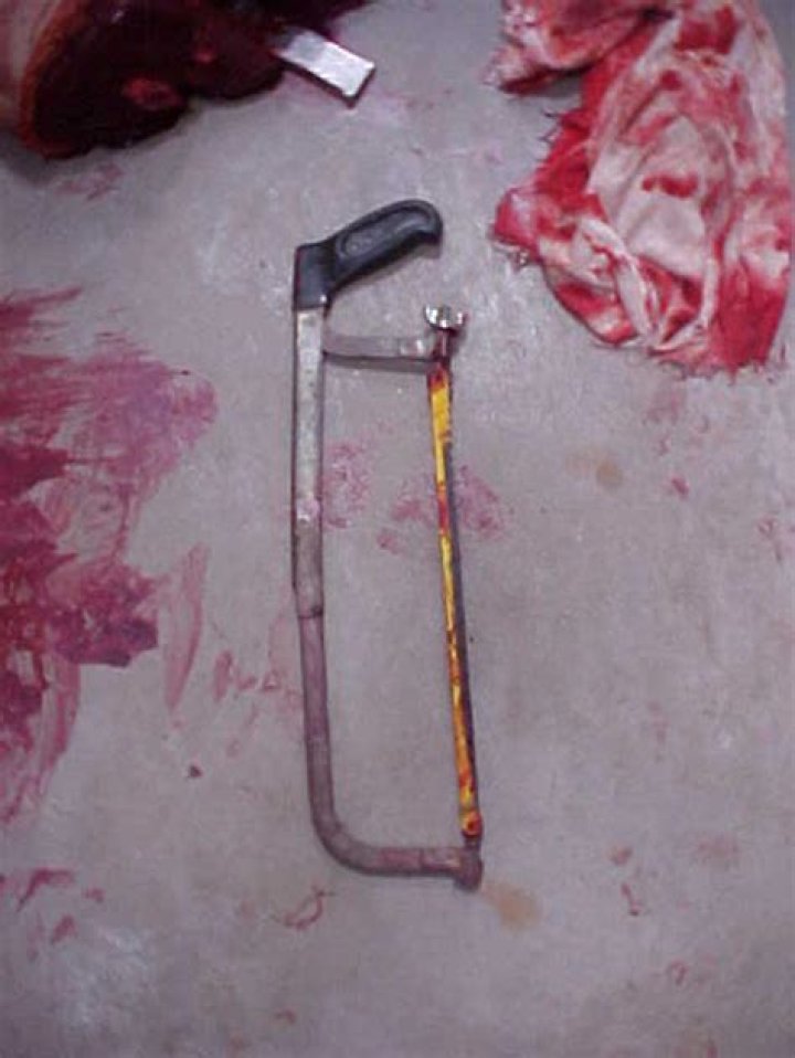 Unveiling the Life and Legacy of Daniel Petry