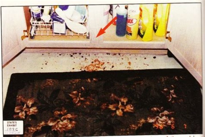 Darlie Router: The Ultimate Guide to Choosing the Right Router for Your Home Network