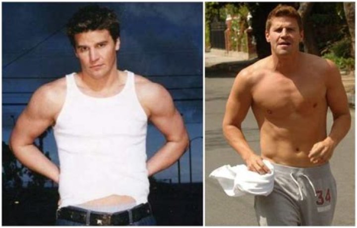 Discovering David Boreanaz Height: What You Need to Know