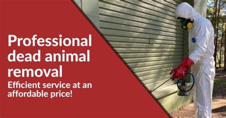 Efficient Solutions for Dead Animal Removal in Ashmore