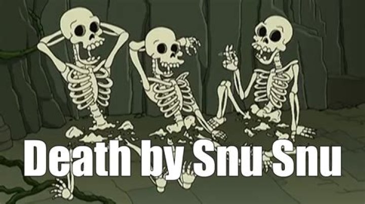 Understanding "Death by Snu Snu": The Cultural Phenomenon and Its Implications
