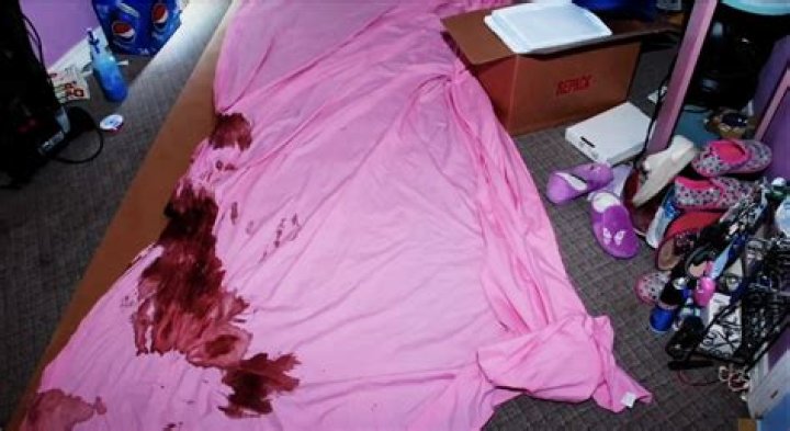 Dede Blanchard Crime Scene Photos: A Deep Dive into the Shocking Case