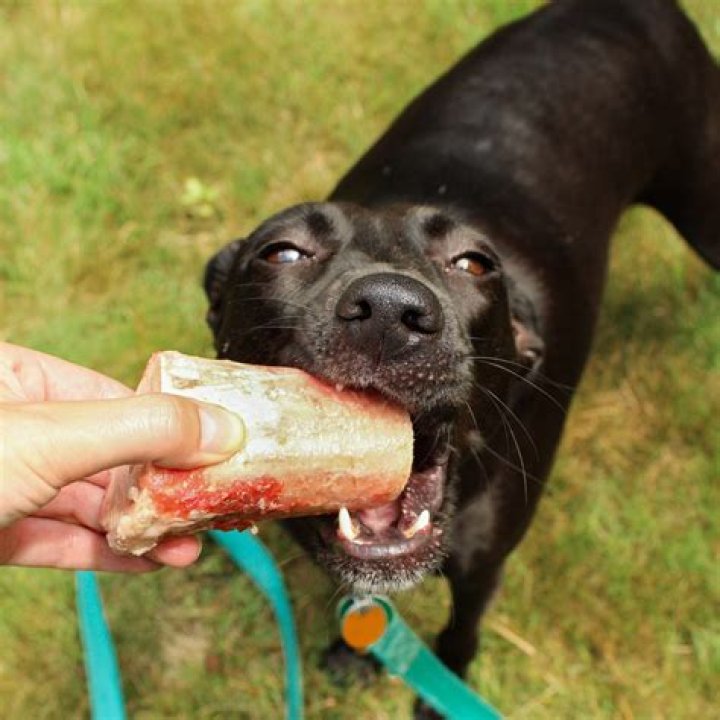 Understanding the Concept of Raw Dogging