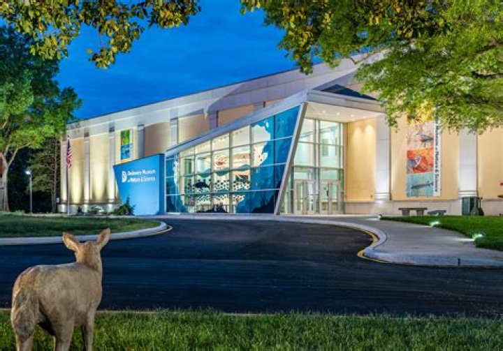 Delaware Children's Museum: A Fun and Educational Experience in Wilmington