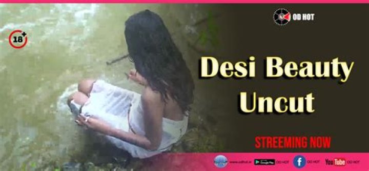Desi Uncut: The Remarkable Journey of an Inspiring Figure