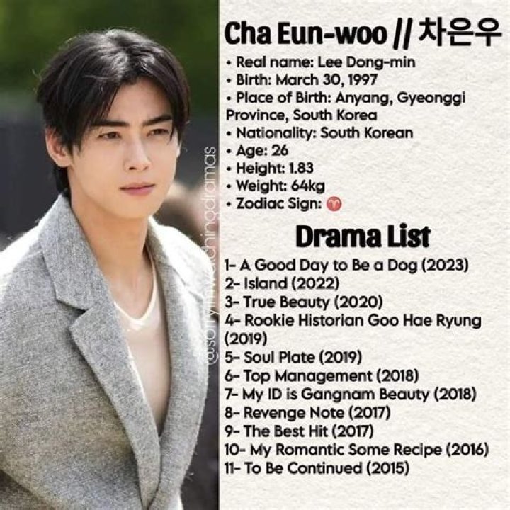 Discover the Best TV Shows with Cha Eunwoo: A Complete Guide