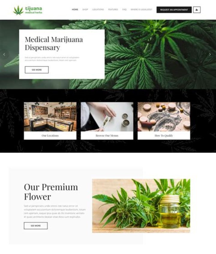Building a High-Performing Dispensary Website: Your Ultimate Guide