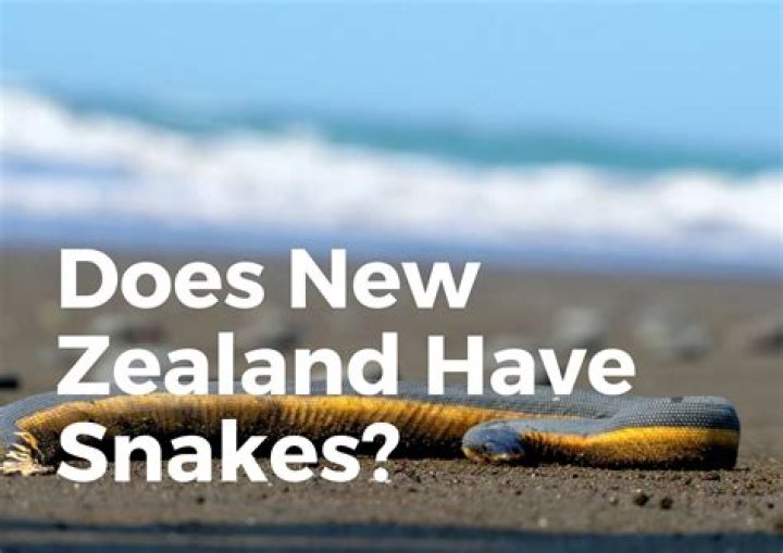 Does New Zealand Have Snakes? Exploring the Truth Behind the Myths