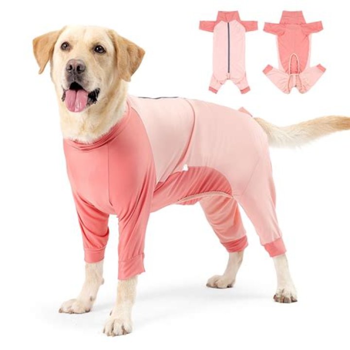 Dog Bodysuit Shedding: A Revolutionary Solution for Pet Owners