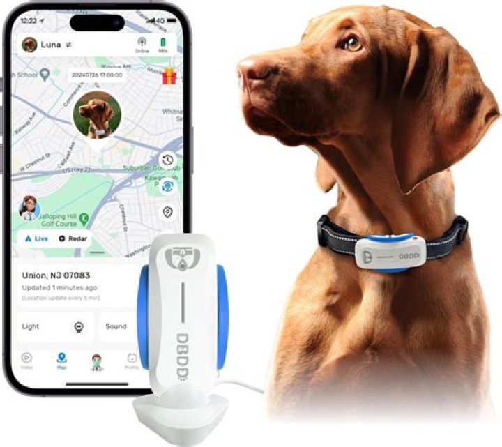 Ultimate Guide to Dog Trackers: Keeping Your Furry Friend Safe
