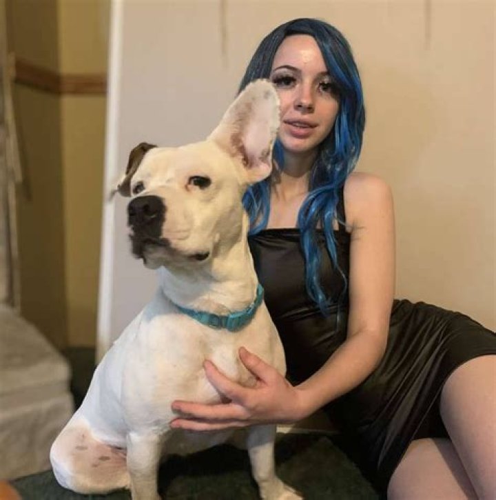 Unleashing the Power of Dogxxx: A Comprehensive Guide