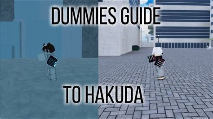 Dummies Guide to Hakuda Type Soul
