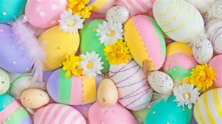 A Complete Guide to the Fascinating World of Easter Egg Soinner