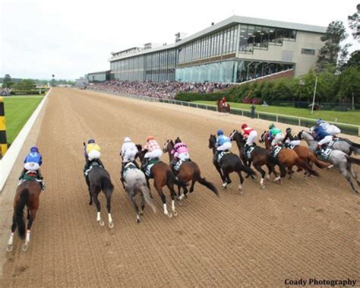 Best Els near Oaklawn Racing & Gaming