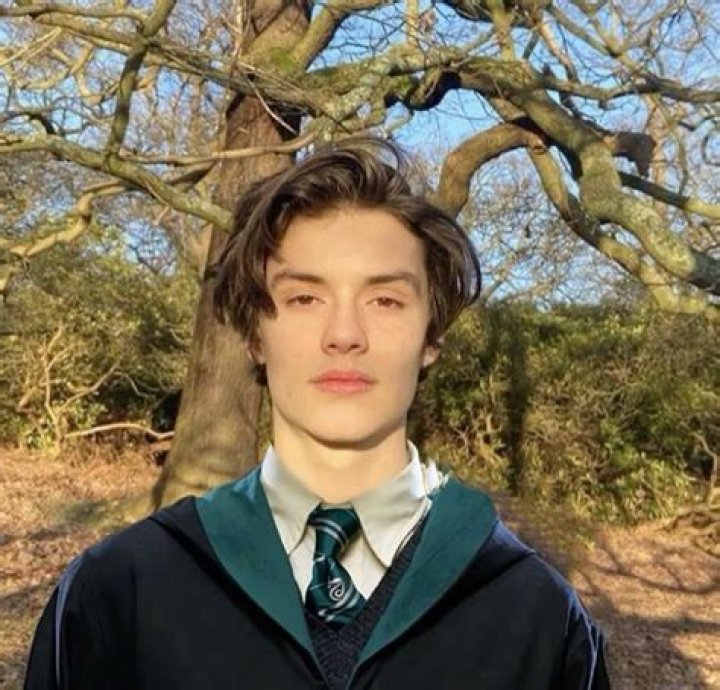 Unveiling the Magic of Enzo Harry Potter: A Journey Through the Wizarding World