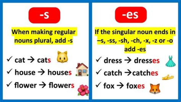 Everything You Need to Know About Es Com: A Comprehensive Guide