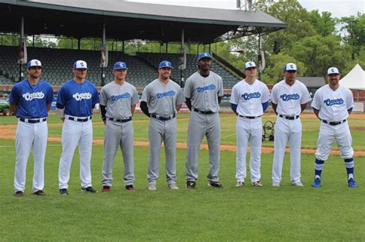 Everything You Need to Know About Evansville Otters Baseball
