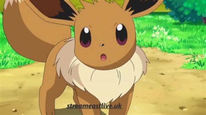 Unleashing the Power of EVOLI S: A Comprehensive Guide to the Revolutionary Energy Solution