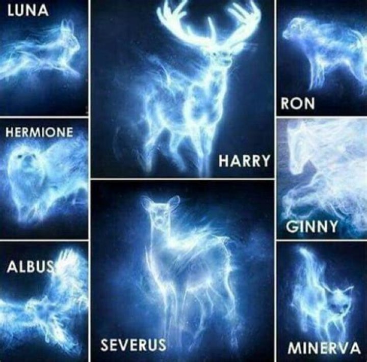 Unlocking the Mysteries of Expecto Patronum Meaning