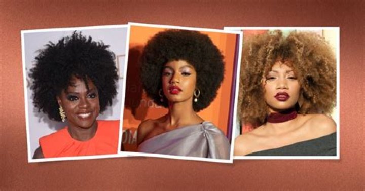Exploring the Vibrant World of Afro Hairstyles
