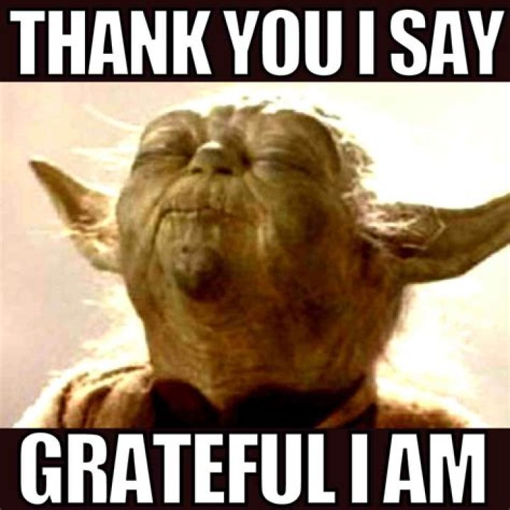 Expressing Gratitude with Thank You Memes: A Creative Way to Say Thanks