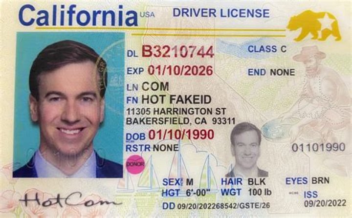 Unveiling the World of Fake IDs: A Cautionary Tale