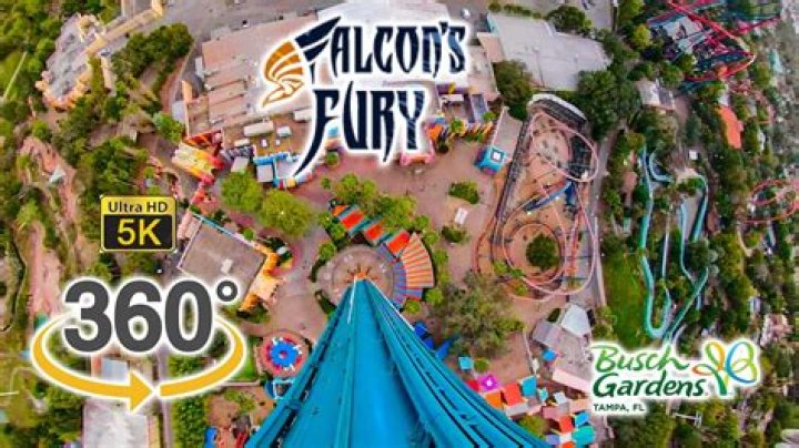 Falcon's Fury Tampa: The Ultimate Thrill Ride Experience
