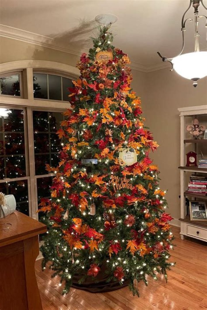Embracing the Beauty of a Fall Christmas Tree