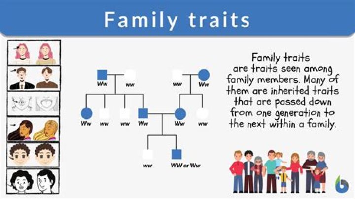 Understanding Family Tendency: A Comprehensive Guide
